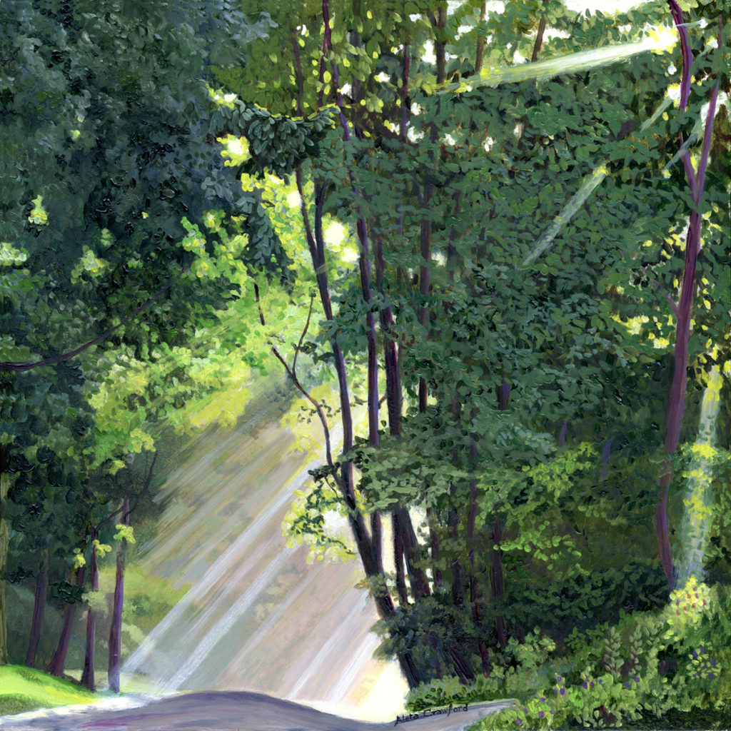 This landscape is of a summer morning when the sunlight streams down in visible shafts through the trees.